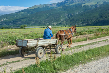 A man riding horse cart on dusty road at early morning. Agricultural concept. © RaDa