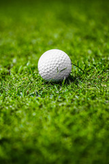 Golf ball on course