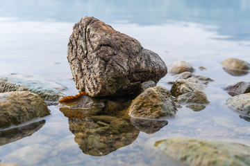 Steine im Wasser mit spiegelung