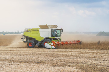 Obraz premium Agricultural combine harvests soybeans in the field