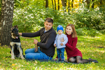 Mom, Dad and the kid and the dog are sitting on the grass in the park. Weekend with family in the fall. Sheepdog