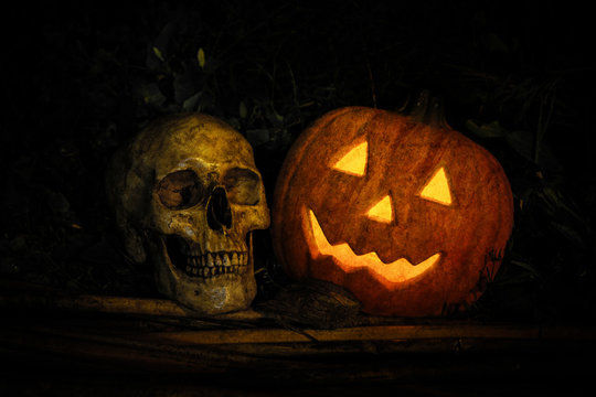 Halloween and darkness theme. Put grain in picture to make an image feel a mystery. Head pumpkin Jack-o'-lantern and skull in a forest filled with weeds on night dark background which has dim light.