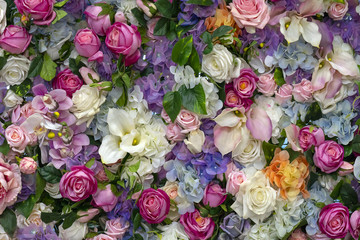 Fototapeta premium Kwiaty w tle. Róże i lilie. Miejsce na tekst