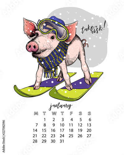 year-calendar-with-pig-monthly-illustrations-hand-drawn-piglet-wears
