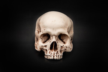 Halloween and darkness theme. Human skull on dark background.