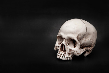 Halloween and darkness theme. Human skull on dark background and copy space.