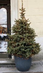 Fototapeta na wymiar Christmas tree with luminous garland in pot near house