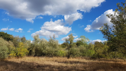 Renaturated landscape in the north of Berlin