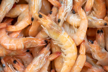 shrimps on ice