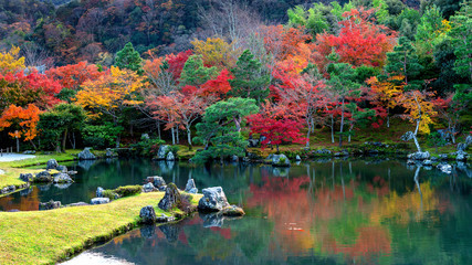 Colorful leaves in autumn park, Japan.