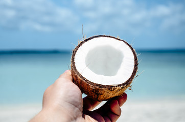 Coconut on a paradise beach ocean view