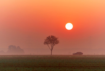 A car on a country road at sunrise in autumn