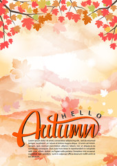 Autumn background with maple leaves Vector illustrations.