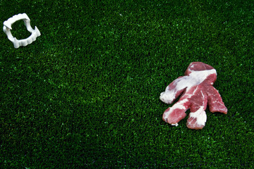 obiekt humanoid leżący na sztucznej zielonej trawie