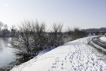 Fototapeta na wymiar Arbres de bord de Loire sous la neige et le soleil