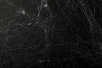 Halloween creepy cobweb spiders web with a black background - obrazy, fototapety, plakaty