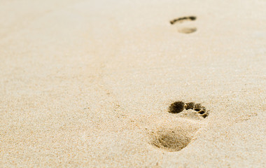 footprints in the sand on the beach closeup