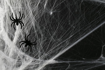Halloween creepy cobweb spiders web with a black background