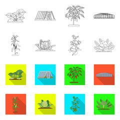 Isolated object of greenhouse and plant logo. Set of greenhouse and garden vector icon for stock.