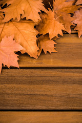 Naklejka na ściany i meble autumn dry leaves on wooden surface