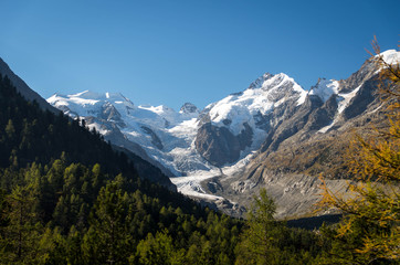 Morteratschgletscher