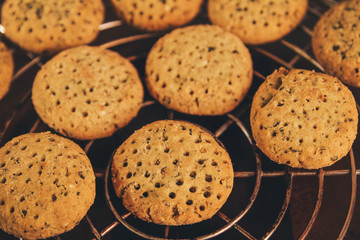 Indian home made ginger snap biscuits