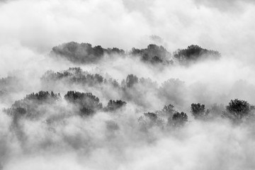 Mgła na lesie, Włochy - 227079575