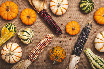 Fototapeta na wymiar Squash, corn and pumpkins on a burlap background.