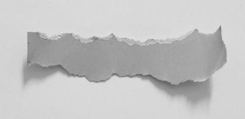 pieces of torn paper texture background, copy space.
