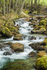 Fototapeta premium Torrente di montagna in autunno