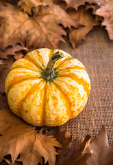 autumn dry leaves on sack surface with pumpkin