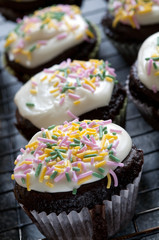 Chocolate Cupcakes With Frosting And Sprinkles