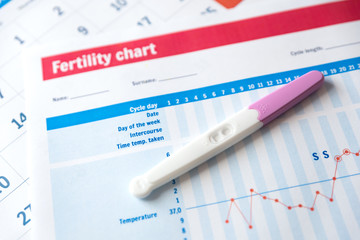 Pregnancy test on fertility chart