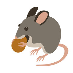 mouse with nut vector illustration  flat