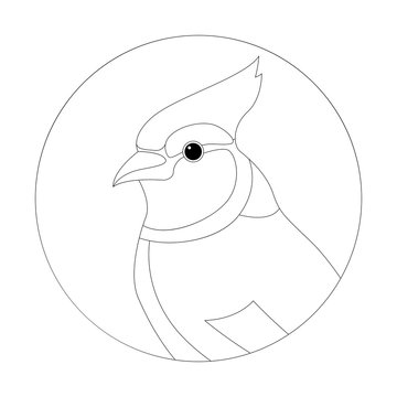 Blue Jay Head Vector Illustration Lining Draw Stock Vector Adobe Stock Blue Jay Head Vector Illustration Lining Draw Stock Vector Adobe Stock