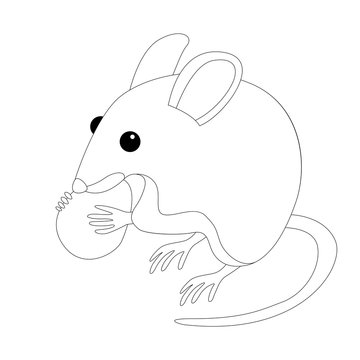 mouse with nut vector illustration