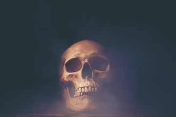 Human skull, Halloween concept
