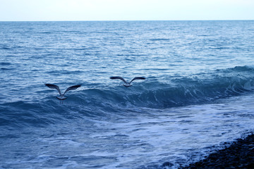 Photo of the sea bright beautiful landscape