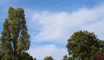 Autunno in arrivo - alberi e cielo