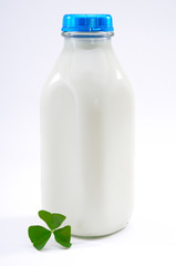 Milk Bottle
