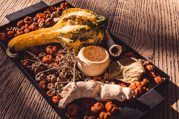 Pumpkin and decoration on the wooden table