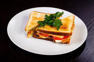 Delicious chicken sandwich