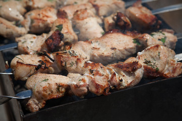 meat on grill