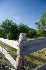 signpost in the park