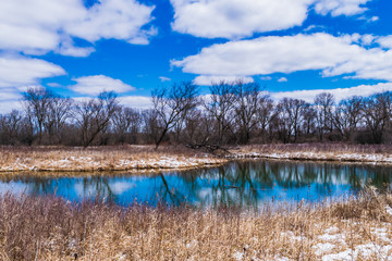 Clouds reflected in winter pond