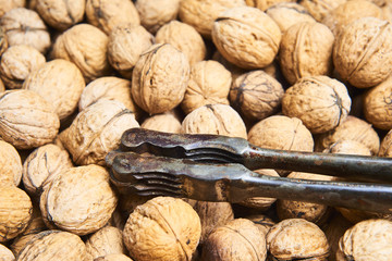 Old vintage nutcracker on top of walnuts