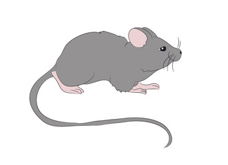 mouse is drawing color, vector