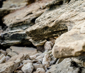 stone texture rocks