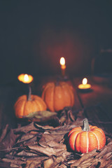 Halloween pumpkins, art picture for Halloween concept