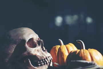 Human skull, Halloween concept